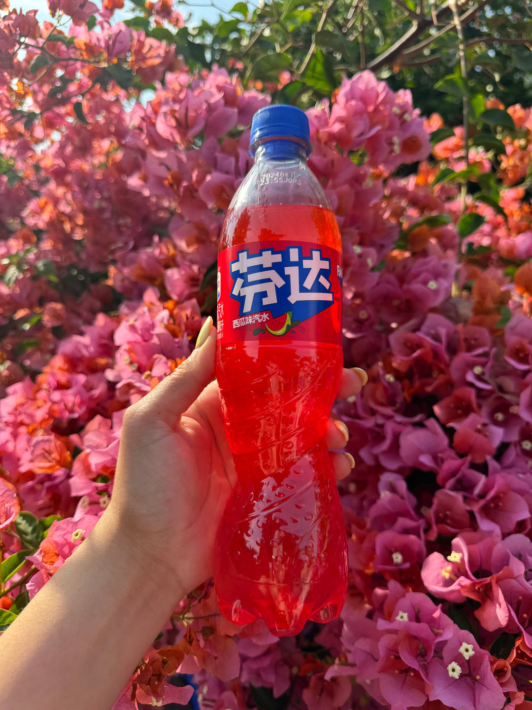 Fanta Soda China