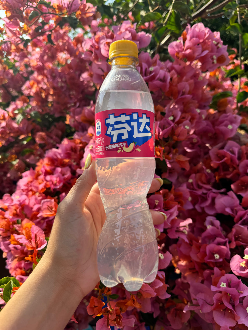 Fanta Soda China